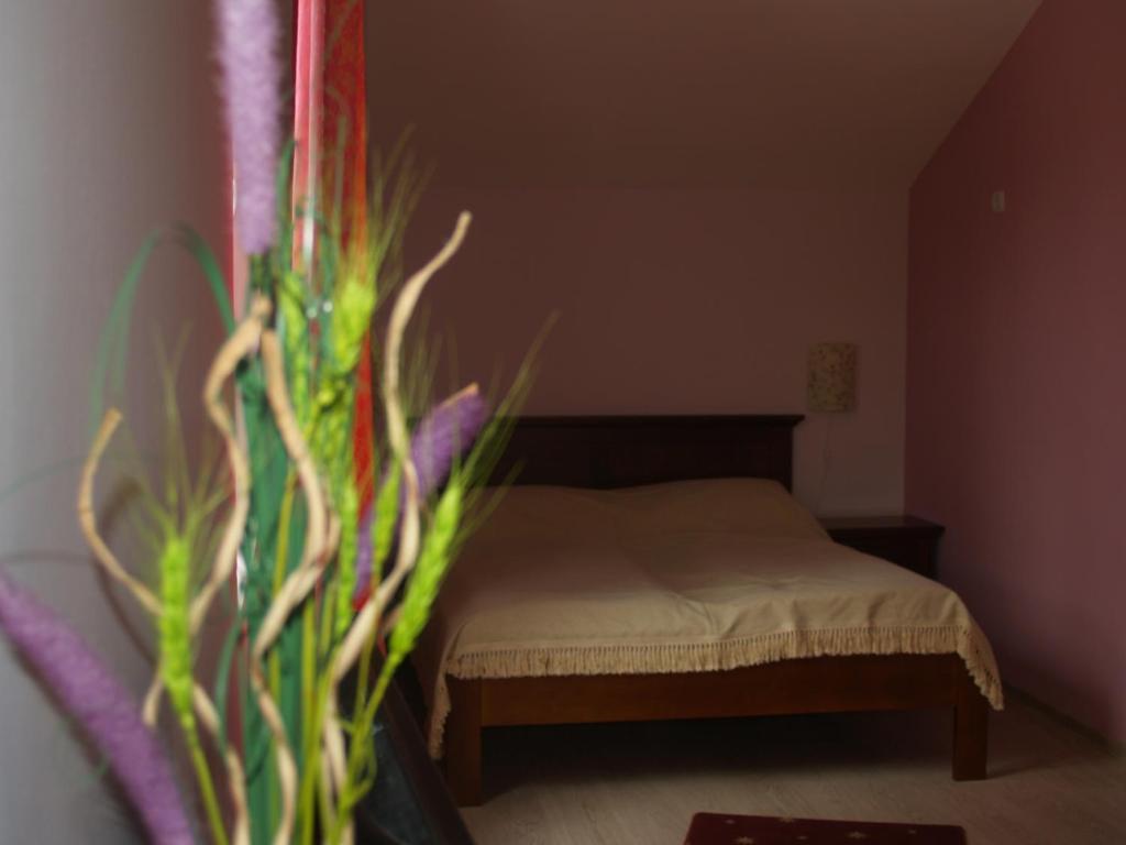 Vila Veche Haţeg Zimmer foto